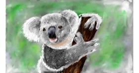 Drawing of Koala by Mia