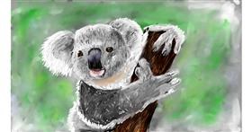 Drawing of Koala by Mia