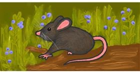 Drawing of Mouse by Taz