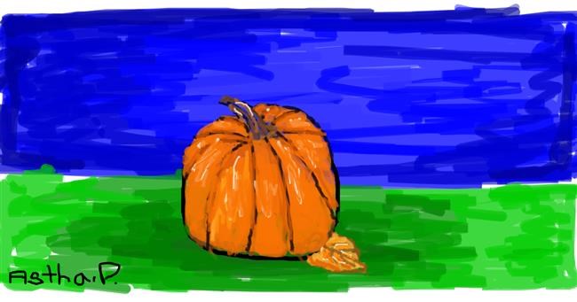 Drawing of Pumpkin by Astha