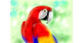 Drawing of Parrot by 🌈SunShine🐴🌻