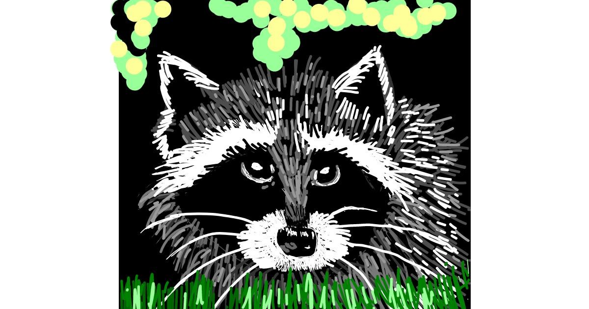 Drawing of Raccoon by Geo-Pebbles