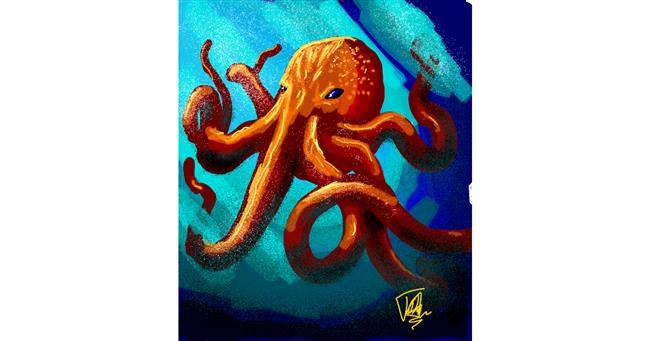 Drawing of Octopus by Thomas