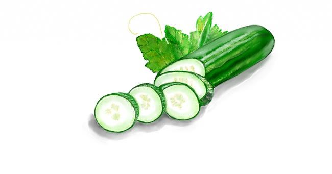 Drawing of Cucumber by Chaching