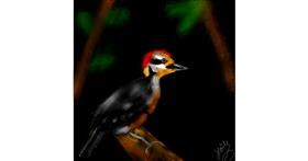 Specht-Zeichnung von Pizza Margherita 🍕