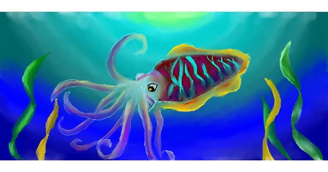 Drawing of Cuttlefish by Lala