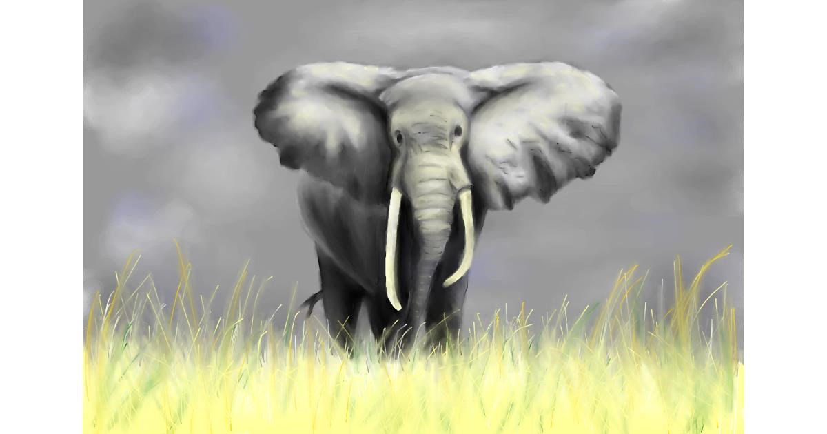 Drawing of Elephant by Wizard