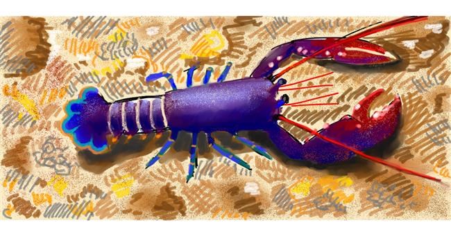 Drawing of Lobster by shiNIN