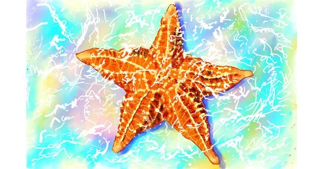 Drawing of Starfish by GJP