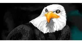 Drawing of Eagle by Blibli