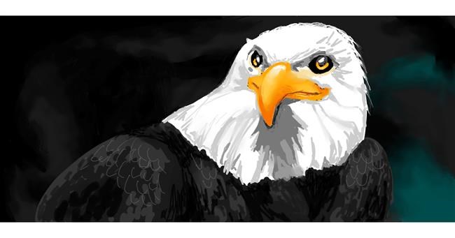 Drawing of Eagle by Blibli