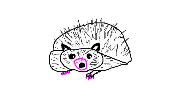 Drawing of Hedgehog by Powersave Airlines