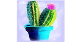 Drawing of Cactus by Ankita Sharma