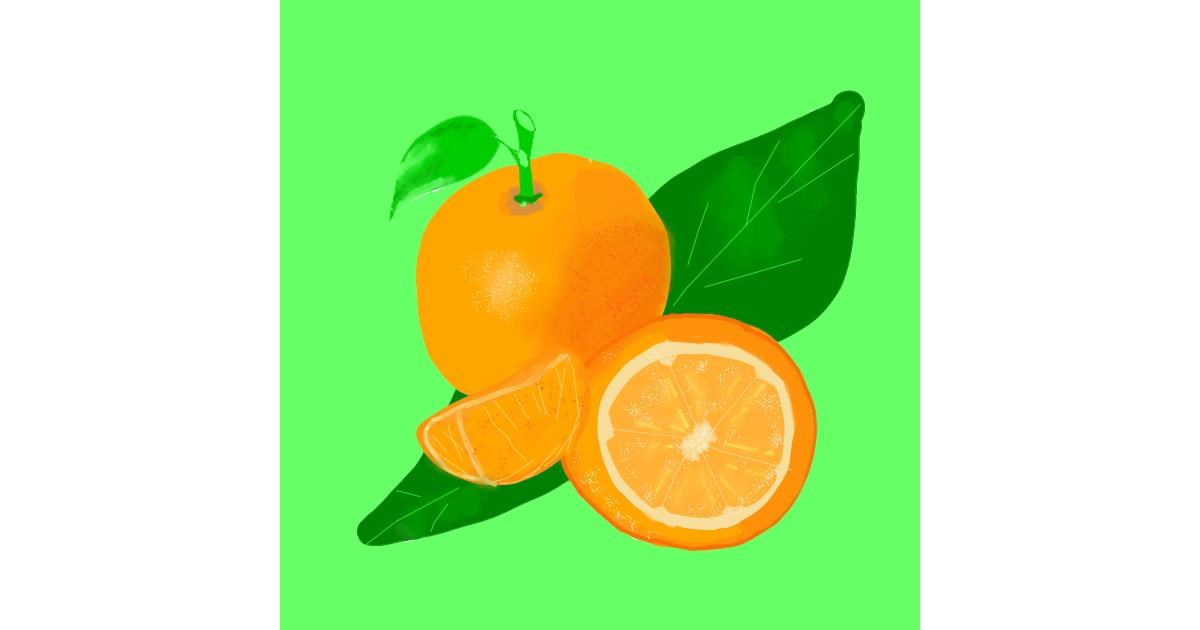 Drawing of Orange by MaRi