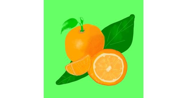 Drawing of Orange by MaRi