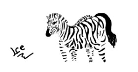 Drawing of Zebra by IceSleep