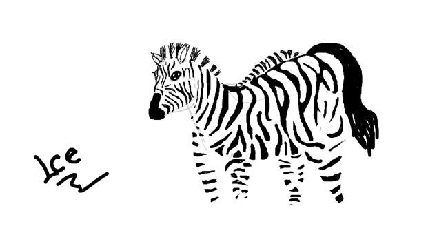 Drawing of Zebra by IceSleep