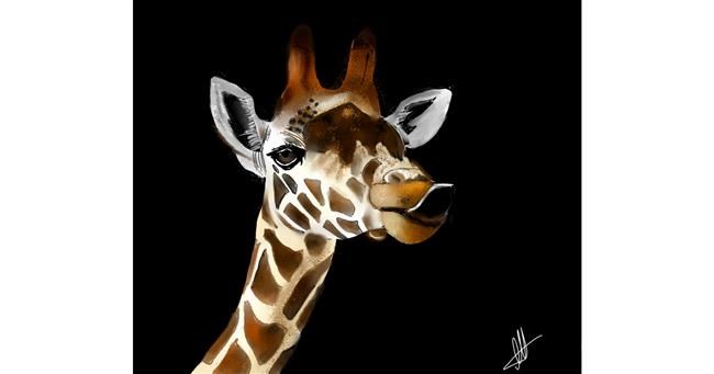 Drawing of Giraffe by Lou