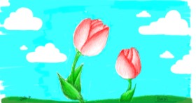 Drawing of Tulips by smol
