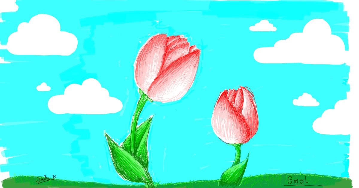 Drawing of Tulips by smol
