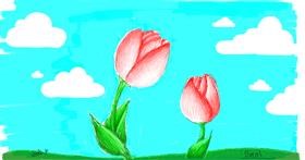 Drawing of Tulips by smol