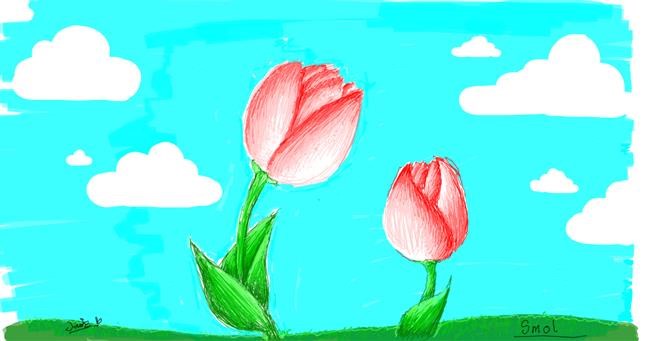 Drawing of Tulips by smol