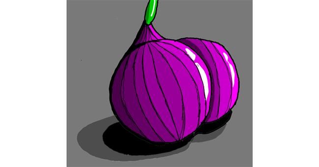 Drawing of Onion by Loves