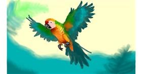 Drawing of Parrot by Mimps35