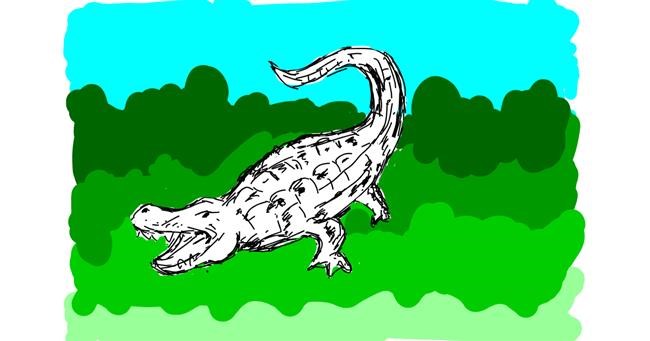 Drawing of Alligator by Lsk
