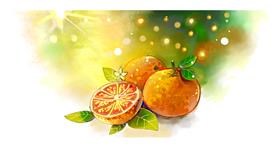 Naranča - autor: Yellow Walrus💛