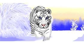 Tiger-Zeichnung von Sumafela