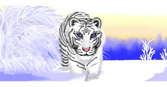 Tiger-Zeichnung von Sumafela