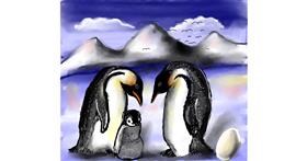 Drawing of Penguin by Leah