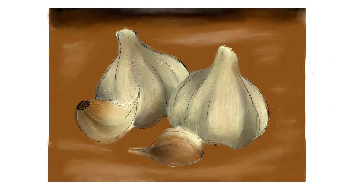 Drawing of Garlic by TODOROKI-KUN