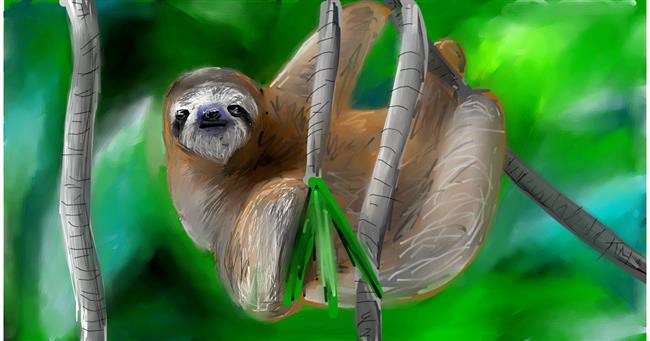 Drawing of Sloth by Mia