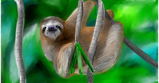 Drawing of Sloth by Mia