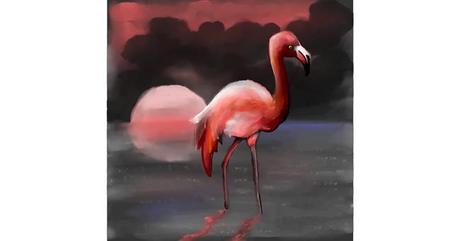 Drawing of Flamingo by Leah