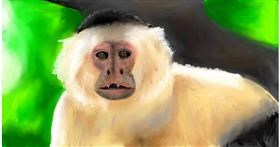 Drawing of Monkey by Mia