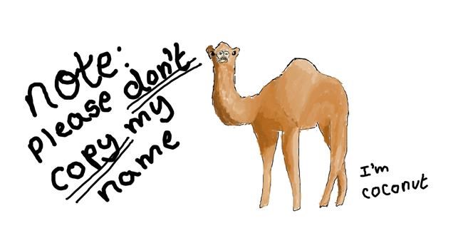 Drawing of Camel by coconut