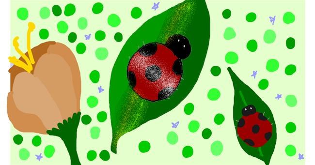 Drawing of Ladybug by 𝓟𝓮𝓰𝓰𝔂_52