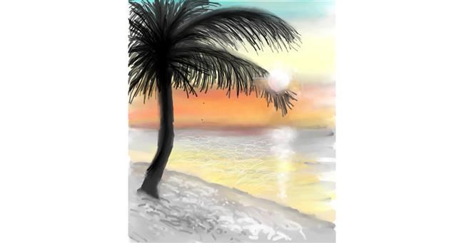 Drawing of Palm tree by ⋆su⋆vinci彡