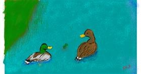 Drawing of Duck by Obnoxious But Consistent