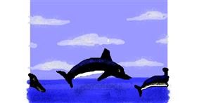 Drawing of Dolphin by Anonymous