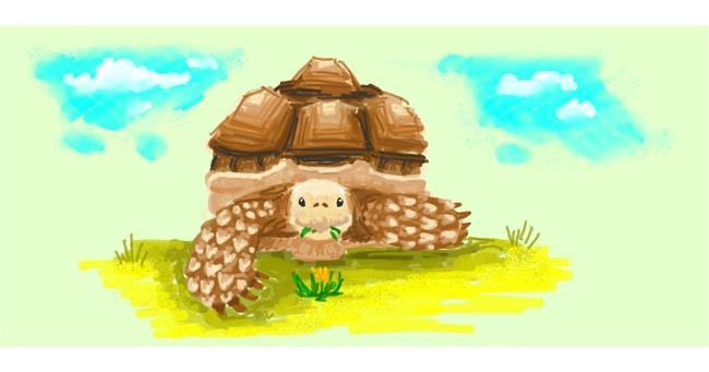 Drawing of Tortoise by shiNIN