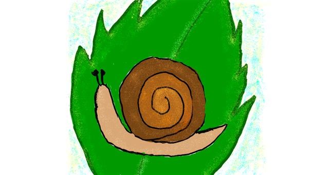Drawing of Snail by Lsk