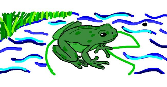 Drawing of Frog by Rosa