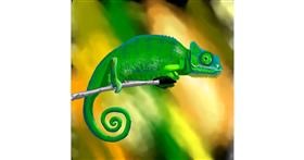 Kameleon - autor: Joze