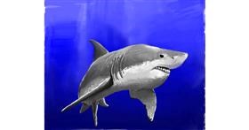 Drawing of Shark by JCat