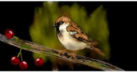 Drawing of Sparrow by Eclat de Lune