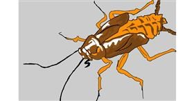 Drawing of Cockroach by Korea